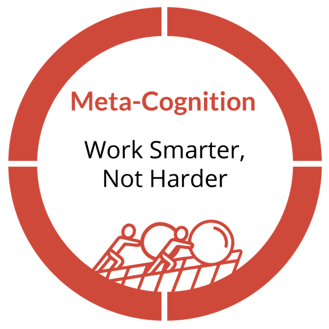 Meta-Cognition