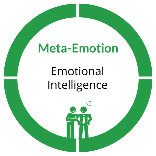 Meta-Emotion